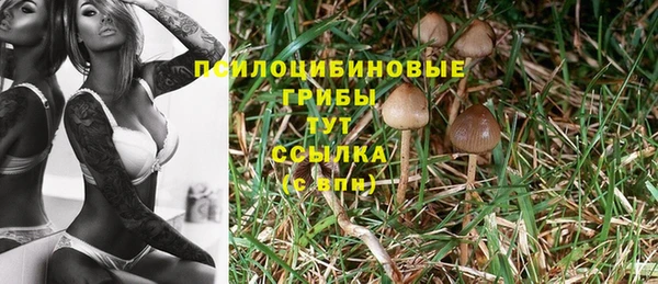 jwh Иннополис